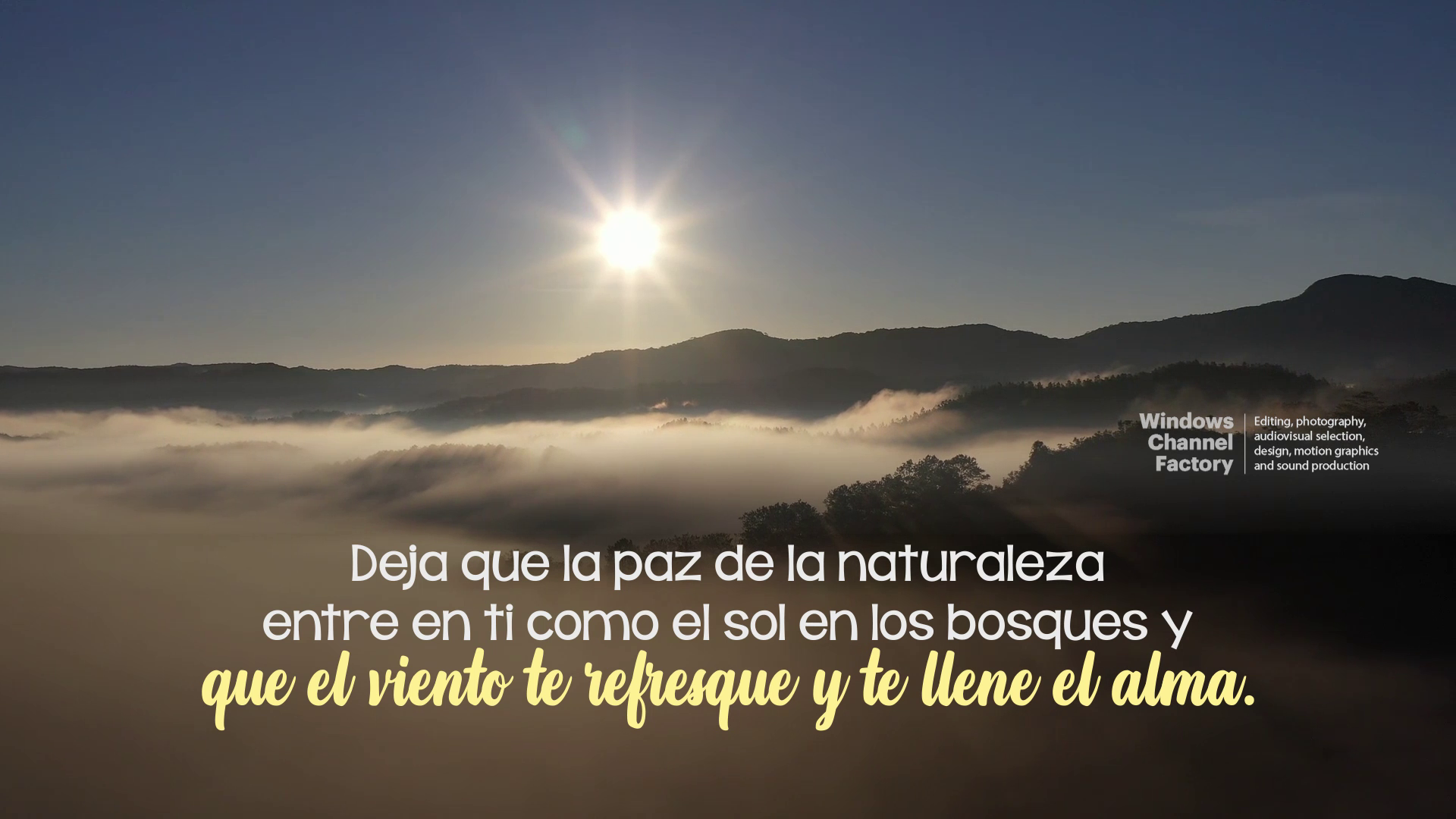 Video